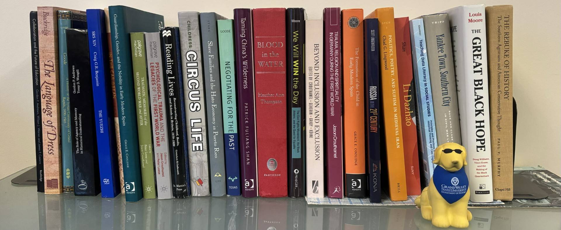 a row of books on a shelf with Harold the history hound sitting in front